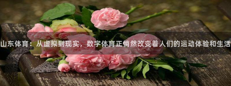 黑白直播体育app：山东体育：从虚拟到现实，数字体育正悄然改变着人们的运动体验和生活