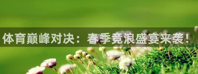 黑白直播吧nba