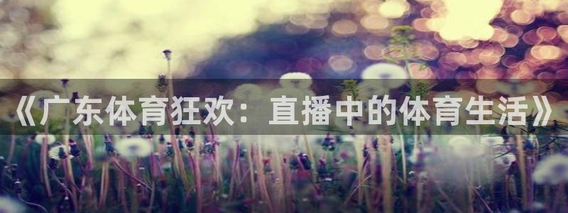 黑白直播体育nba直播下载：《广东体育狂欢：直播中的体育生活》